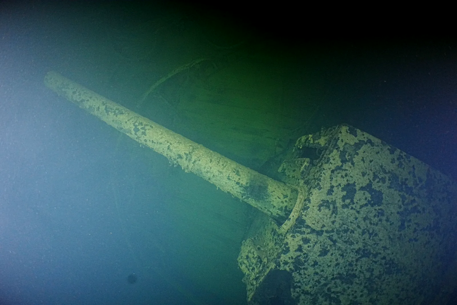 Akterkanonen på HMS Cassandra med pjäs och sköld